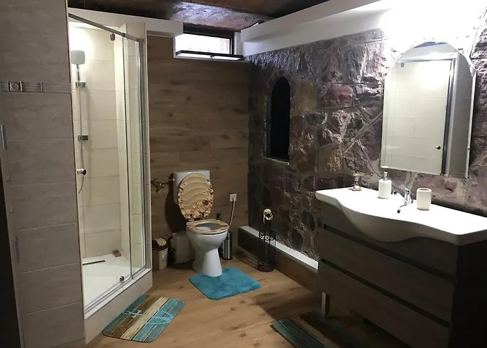 Balaton Wellness Tom Cat Nyaralo 1 Wellness Es 1 Gyermekbarat Apartmannal Σπίτι διακοπών